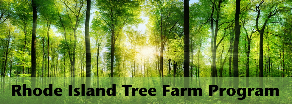 Rhode Island Tree Farm Program | PO Box 53 | No. Scituate, RI 02857 | 401-568-3421